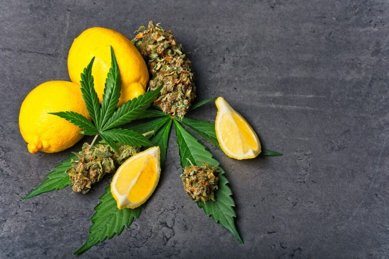 cannabis-terpenes-768×512